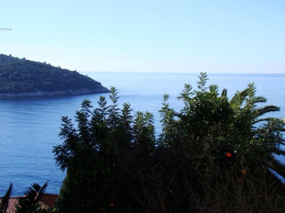 Apartment Doramia Dubrovnik Eksteriør billede